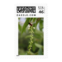 Sweet New Blossoms postage