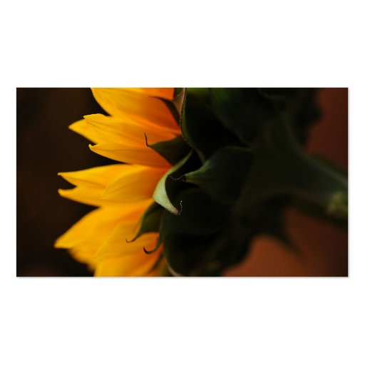 Sweet note (sunflower) business card template