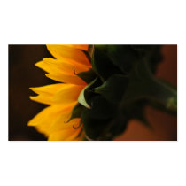 Sweet note (sunflower) business cards