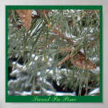 Sweet Pa Pine posters