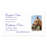 Sweet Palomino Business Cards