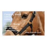 Sweet Palomino Business Cards
