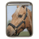 Sweet Palomino iPad Sleeve