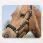 Sweet Palomino Mouse Pad