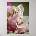 Sweet Paper Flower posters