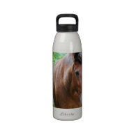 Sweet Paso Fino Horse Drinking Bottle