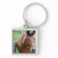 Sweet Paso Fino Horse Keychains