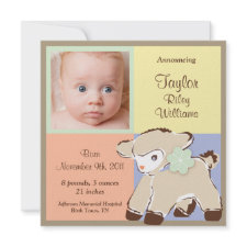 Sweet Pastel Baby Lamb Photo Announcement invitation