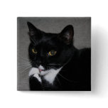 Sweet Paws Pins