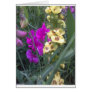 Sweet Pea and Mullein Flower Card