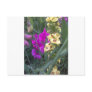Sweet Pea and Mullein Flower Post Cards