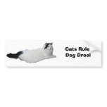 Sweet Pea Bumper Sticker