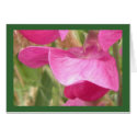 Sweet Pea Card