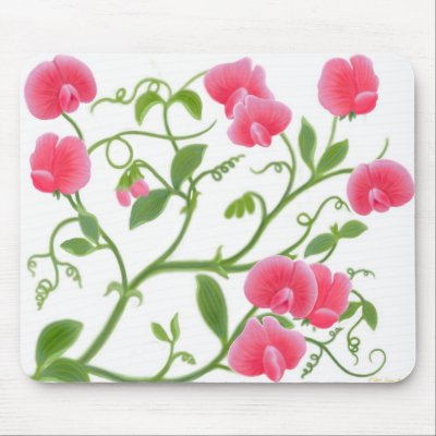 Sweetpea Flowers on Sweet Pea Flower Vine Mousepad P144745137330430985envq7 400 Jpg