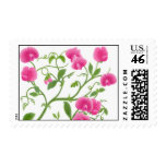 Sweet Pea Flower Vines Postage postage