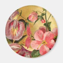 Sweet Pea Flowers Magnets