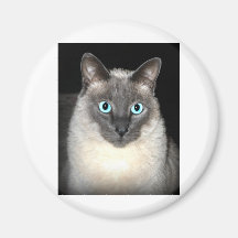 Sweet Pea Fridge Magnet