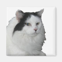Sweet Pea Fridge Magnet