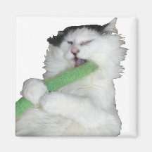 Sweet Pea Magnets