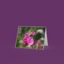 Sweet Pea Note Card