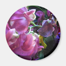 Sweet Pea Refrigerator Magnets