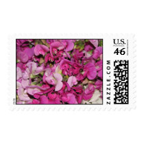 Sweet Pea Sweetness postage by erin_kathleen Sweet Pea Sweetness postage