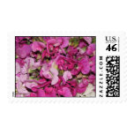 Sweet Pea Sweetness Postage