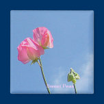 Sweet Peas Collector Magnet magnets