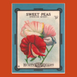 vintage, reproduction, old, antique, seed packet,