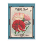 Sweet Peas postcards