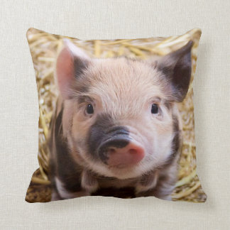 piglet pillow pet disney