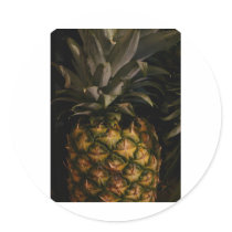 Sweet Pineapple stickers by Debrene Sweet Pineapple stickers