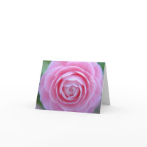 Sweet Pink Camellia Notecard
