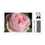 Sweet Pink Rose Postage Stamp