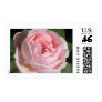 Sweet Pink Rose Stamp