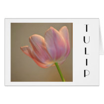 Sweet Pink Tulip cards