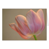 Sweet Pink Tulip cards