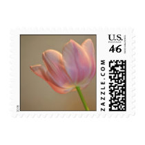 Sweet Pink Tulip postage