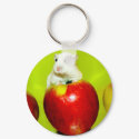 Sweet Pompon Keychain
