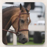Sweet Pony Set of Six Coasters