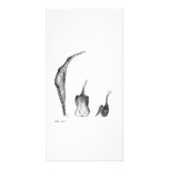 Sweet Potato People Custom Photo Card