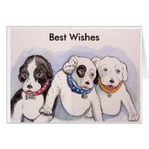 Sweet Puppies card cards