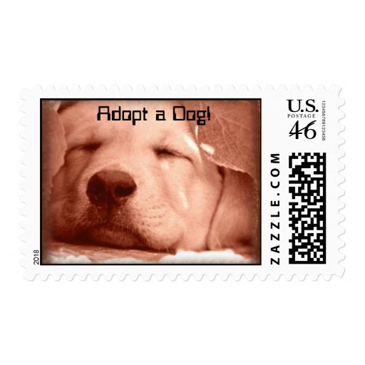 SWeet Puppy - Adopt a Dog Stamp