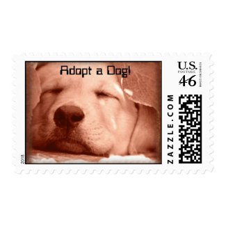 SWeet Puppy - Adopt a Dog Stamp stamp