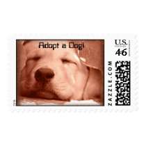SWeet Puppy - Adopt a Dog Stamp