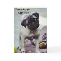 Sweet Puppy Get Well Greeting Card