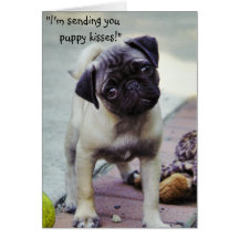 Sweet Puppy Get Well Greeting Card