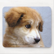 Sweet Puppy mousepads