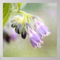 Sweet Purple Bells - Girls Baby Nursery Wall Art posters