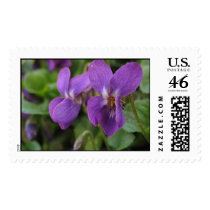 Sweet Purple Violets postage
